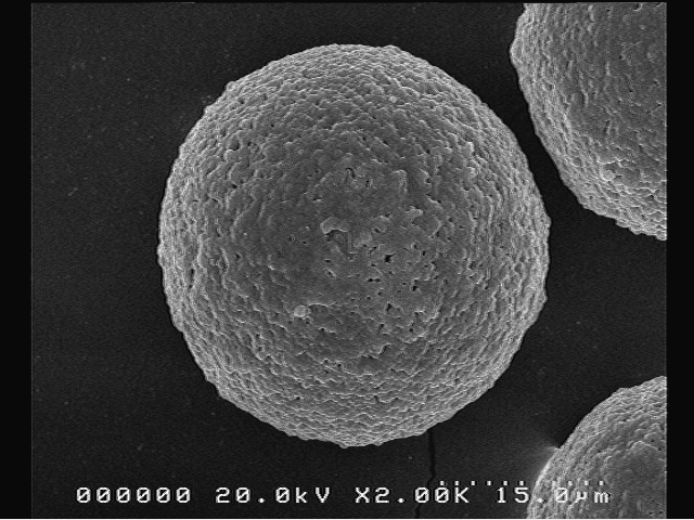 Semi-dense-type Biomaterials